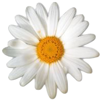 Margeritte Logo